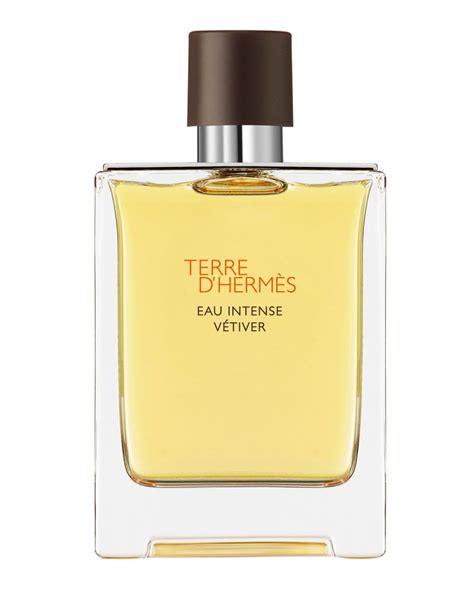 intense vetiver terre d hermes|terre d'hermes vetiver 100ml.